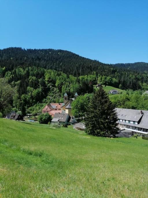 Ferienwohnung Schwarzwaldblick Bad Rippoldsau-Schapbach Bagian luar foto