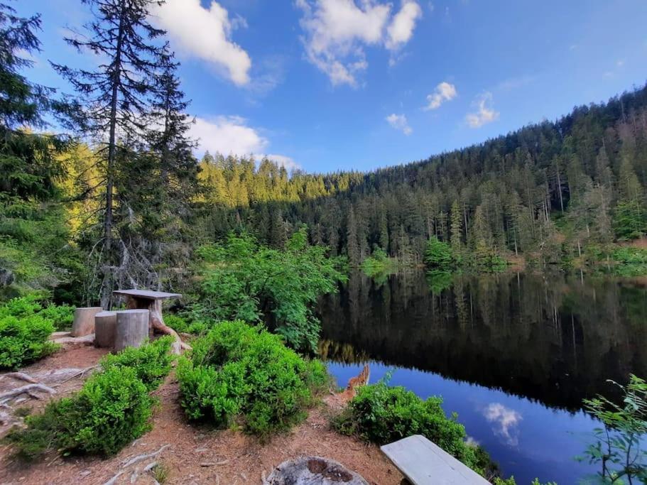 Ferienwohnung Schwarzwaldblick Bad Rippoldsau-Schapbach Bagian luar foto