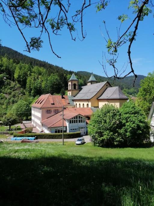 Ferienwohnung Schwarzwaldblick Bad Rippoldsau-Schapbach Bagian luar foto