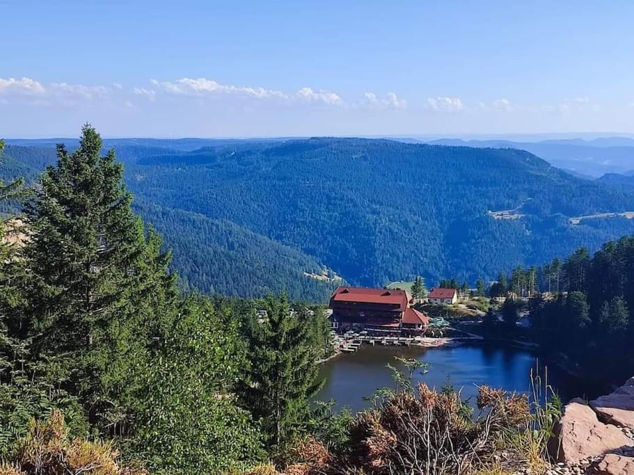 Ferienwohnung Schwarzwaldblick Bad Rippoldsau-Schapbach Bagian luar foto