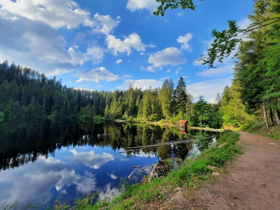 Ferienwohnung Schwarzwaldblick Bad Rippoldsau-Schapbach Bagian luar foto